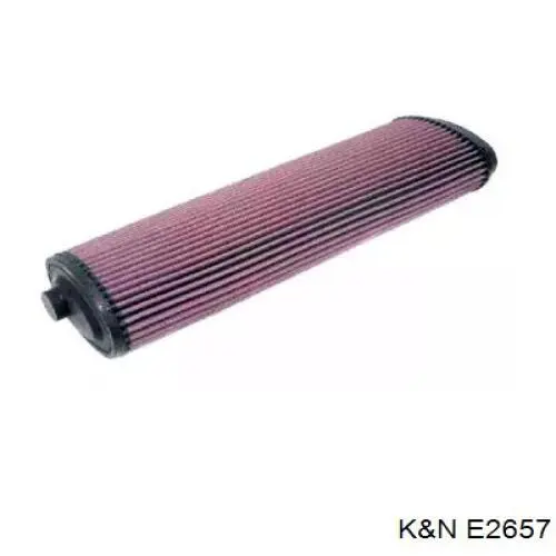 El filtro de aire K&N E2657 precio, desde 23,29 EUR