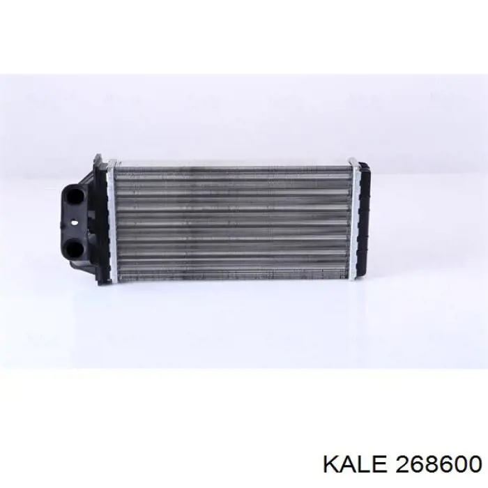 268600 Kale radiador de calefacción