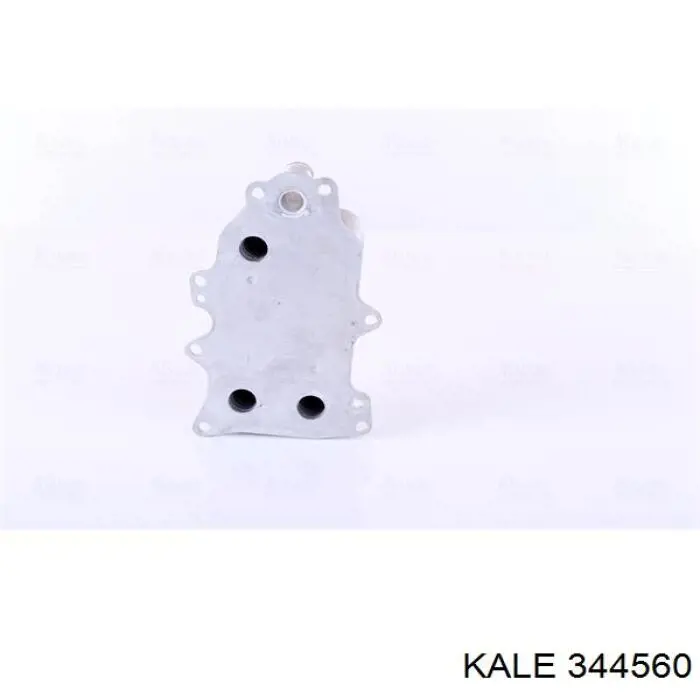 344560 Kale radiador de aceite