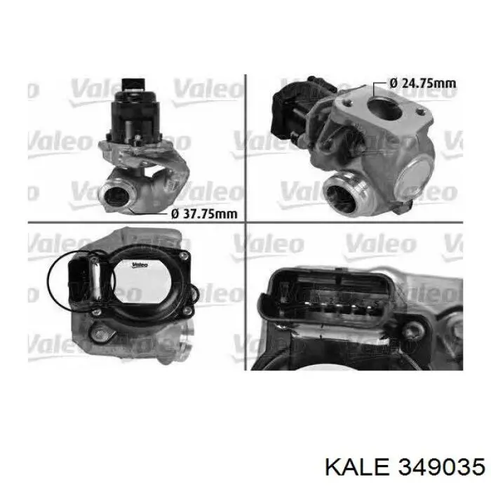 349035 Kale egr