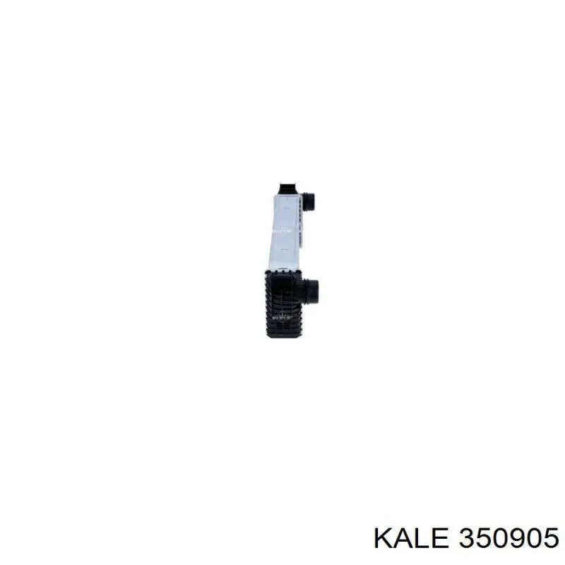 350905 Kale