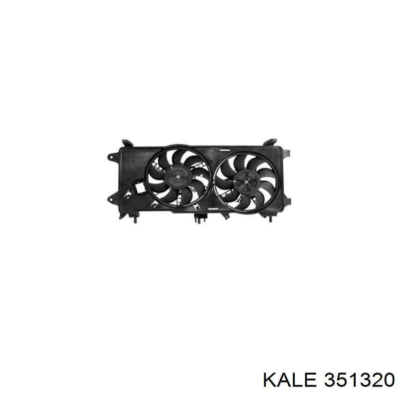 351320 Kale