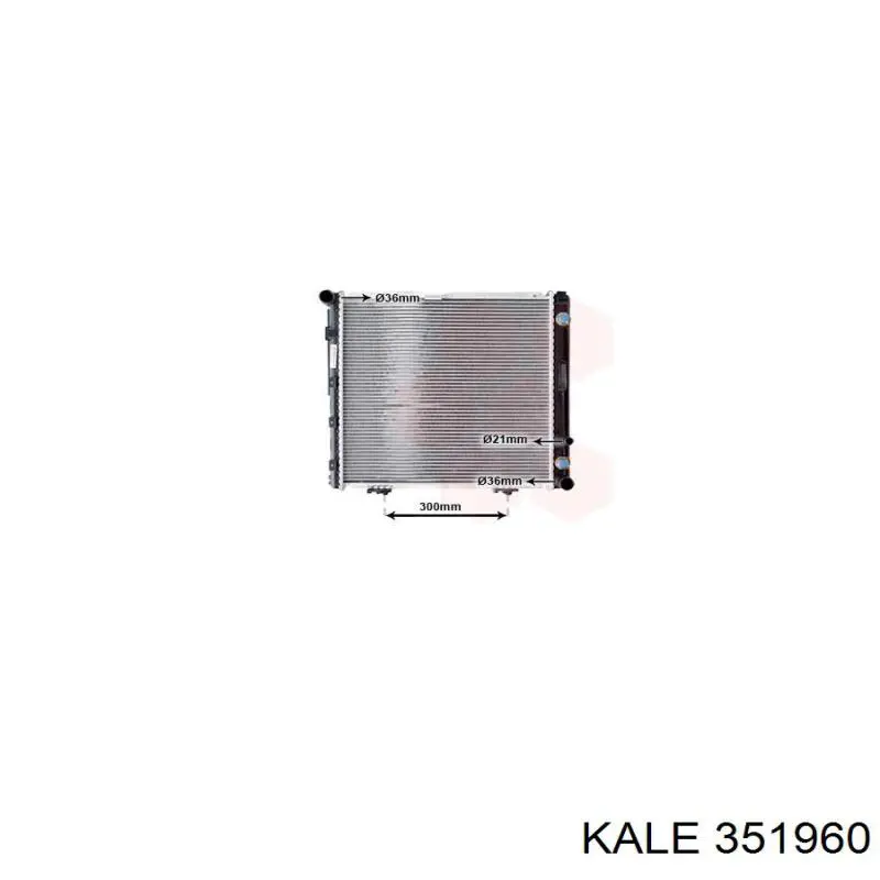Radiador 351960 Kale