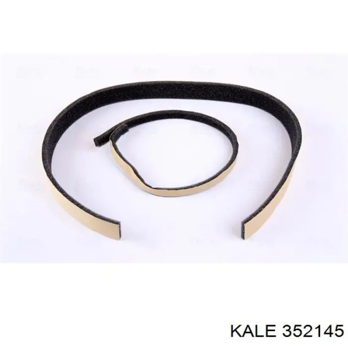 352145 Kale