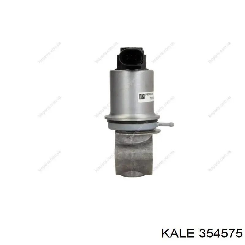 354575 Kale egr