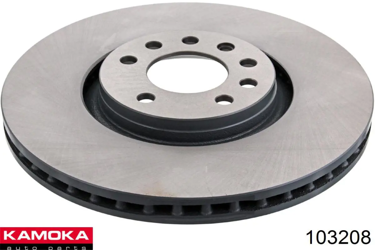 103208 Kamoka