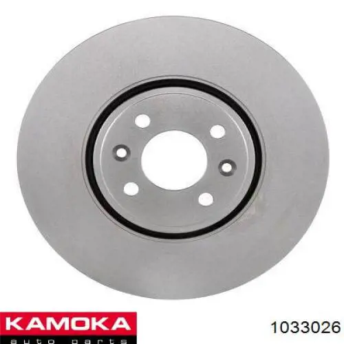 1033026 Kamoka disco de freno delantero