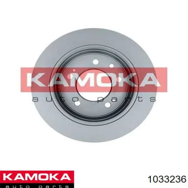 1033236 Kamoka freno de disco delantero