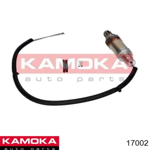 17002 Kamoka sonda lambda