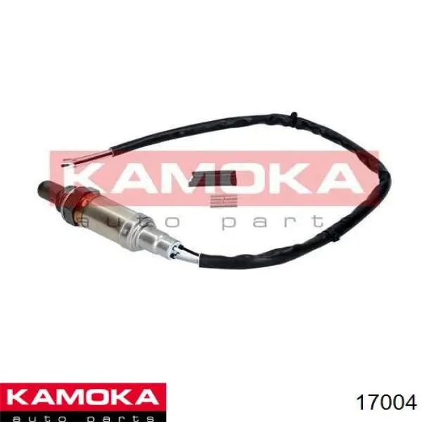 17004 Kamoka sonda lambda