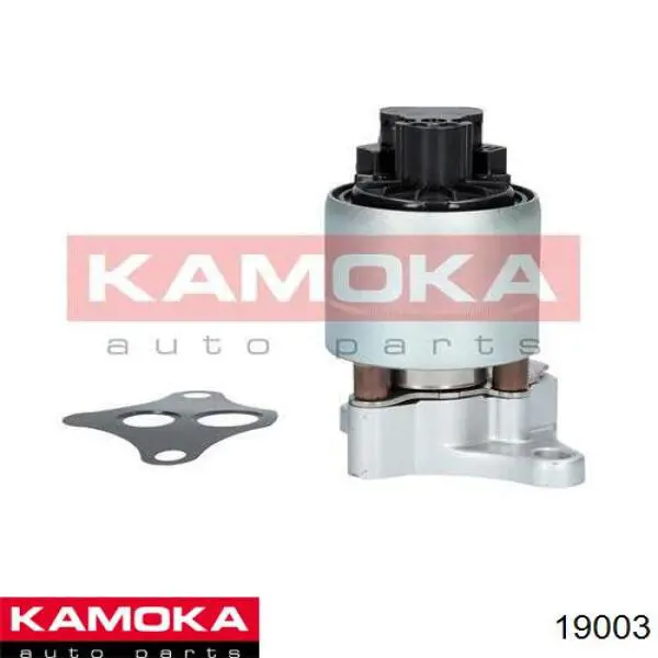 19003 Kamoka egr