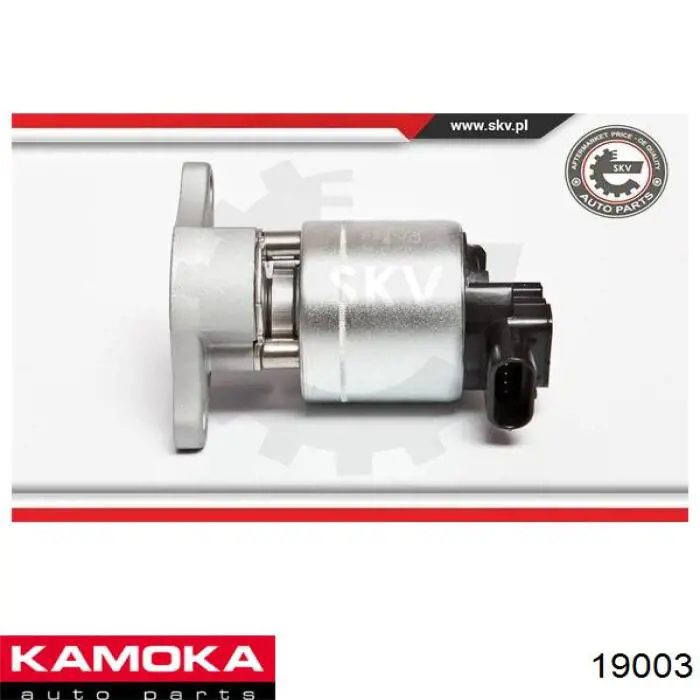 Válvula EGR 555016 ERA