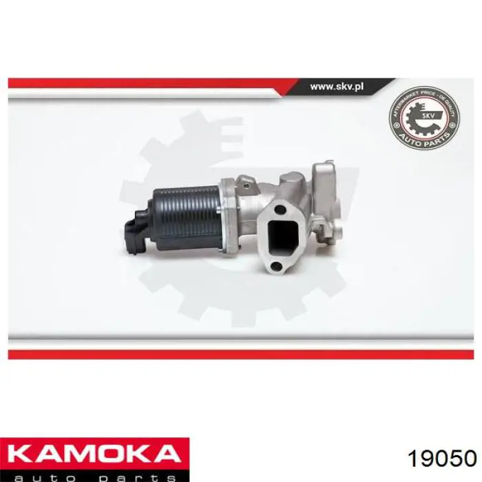 EGR Kamoka 19050