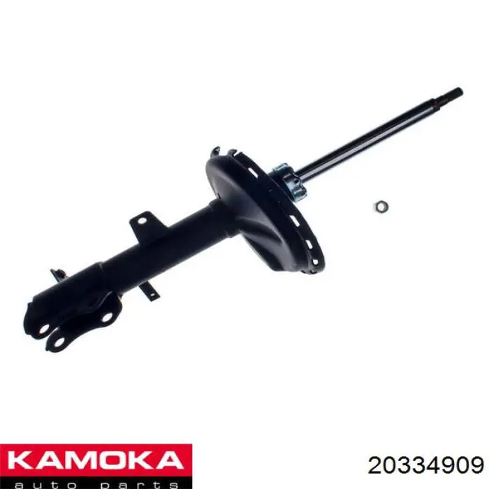 20334909 Kamoka