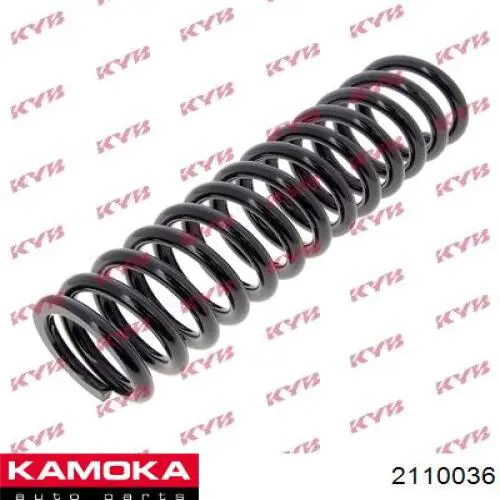 2110036 Kamoka