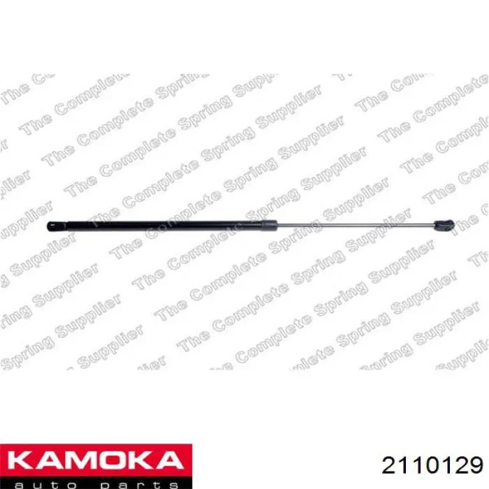 Muelle delantero CSR907500 Open Parts