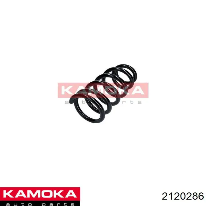 Muelle 52441SKNG01 Honda