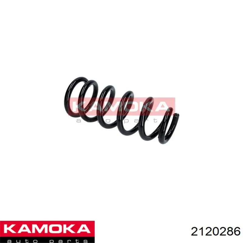 2120286 Kamoka Muelle trasero