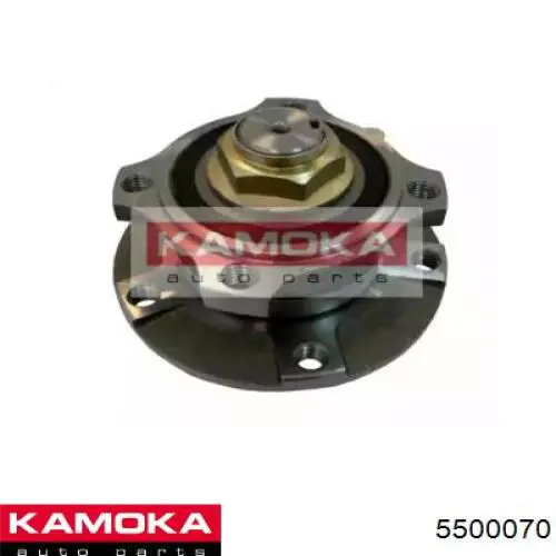 Cubo de rueda delantero BMW 5 E39