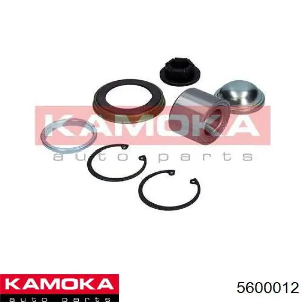 Cojinete de rueda trasero Ford Focus 1 DFW