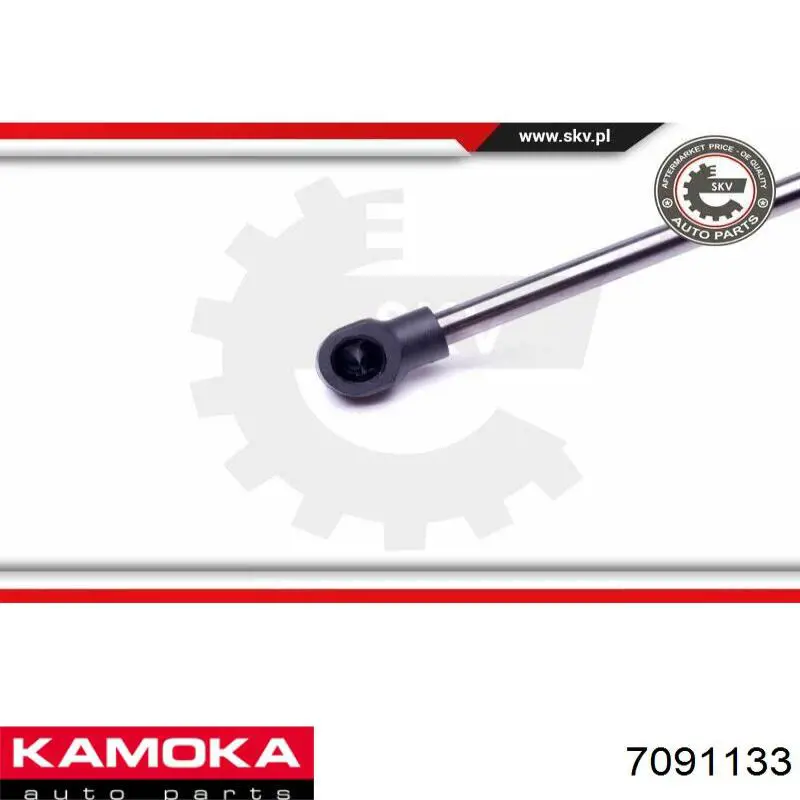 Amortiguador de capó SKGS0220347 Market (OEM)