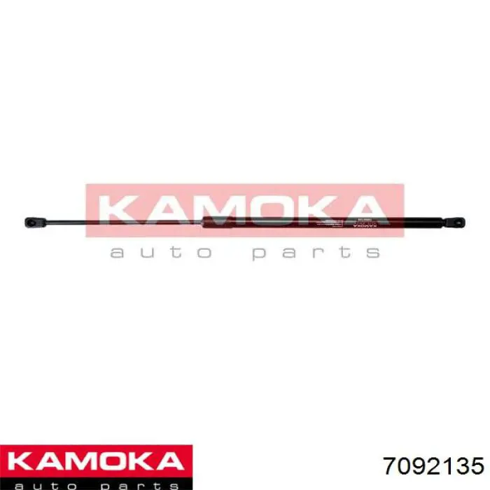 Amortiguador de maletero Fiat/Alfa/Lancia 1354844080 precio, desde 9,72 EUR