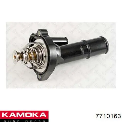 7710163 Kamoka termostato, refrigerante