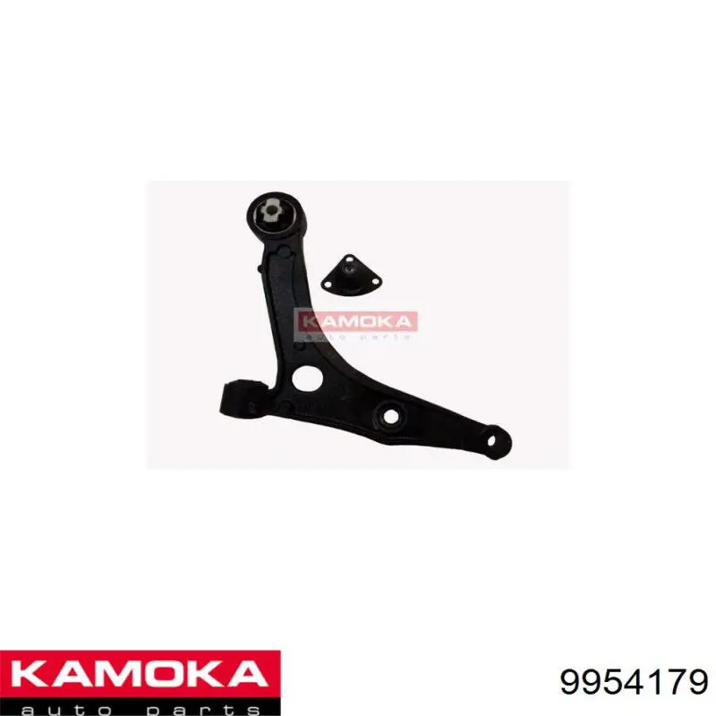 9954179 Kamoka