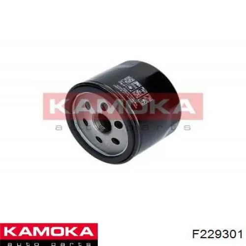 Filtro de aire F229301 Kamoka