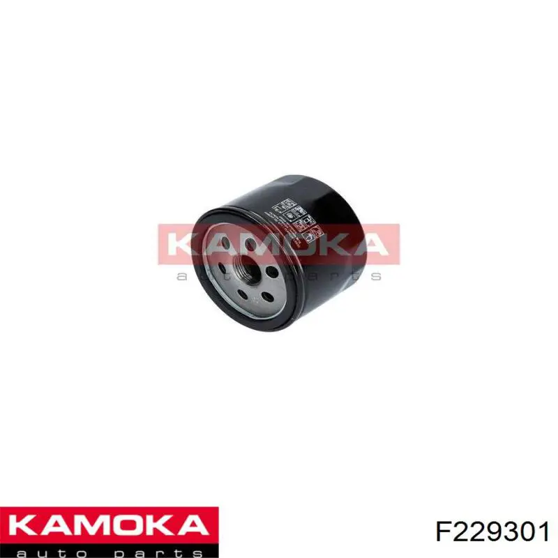 F229301 Kamoka filtro de aire