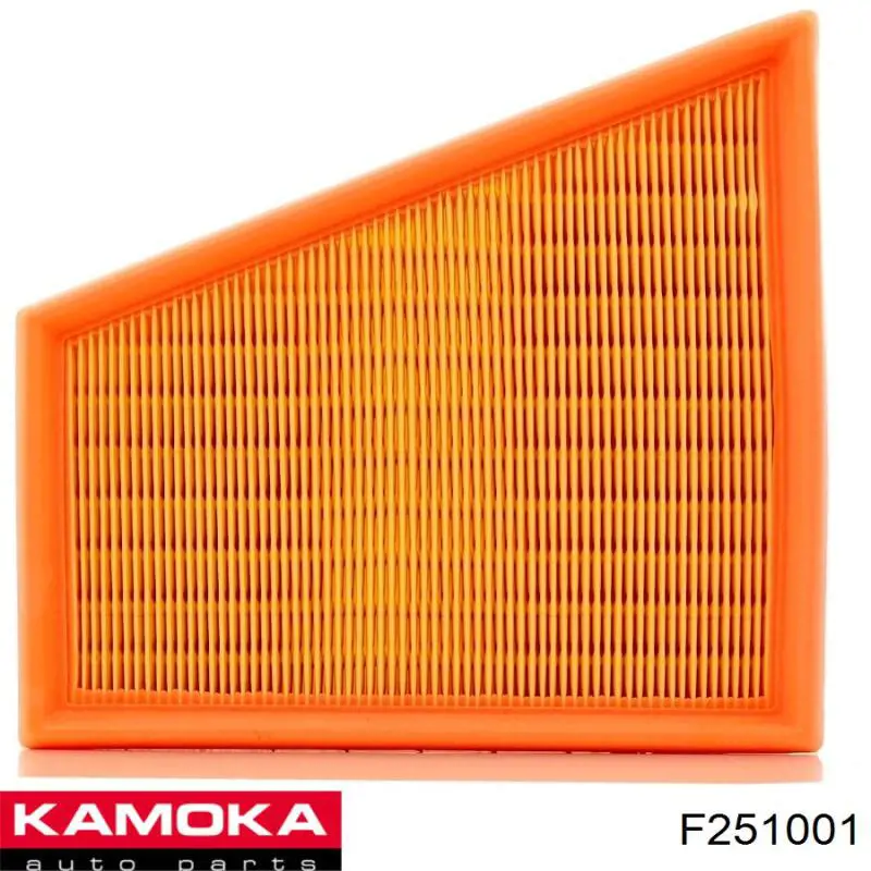 F251001 Kamoka filtro de aire