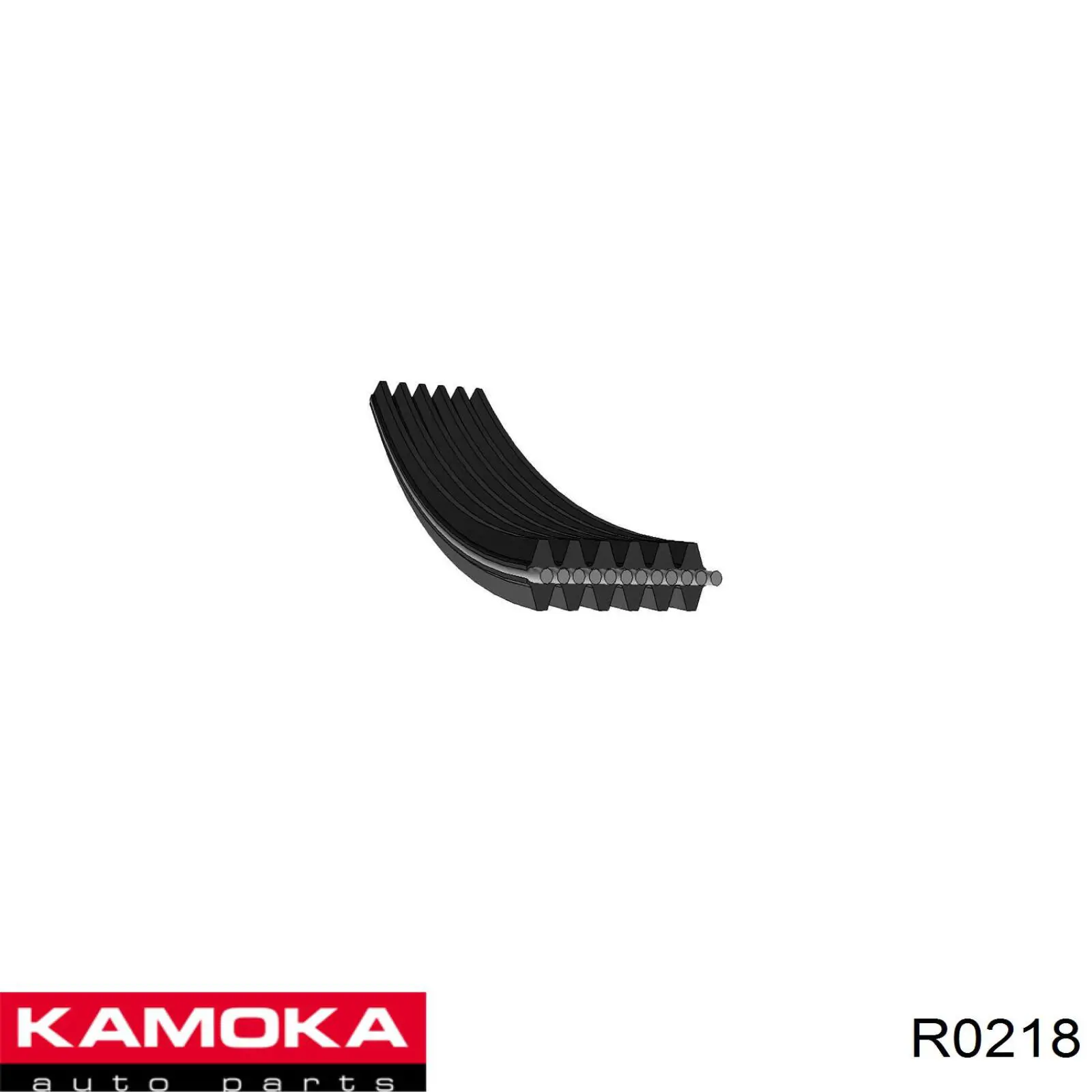 R0218 Kamoka rodillo, correa trapecial poli v