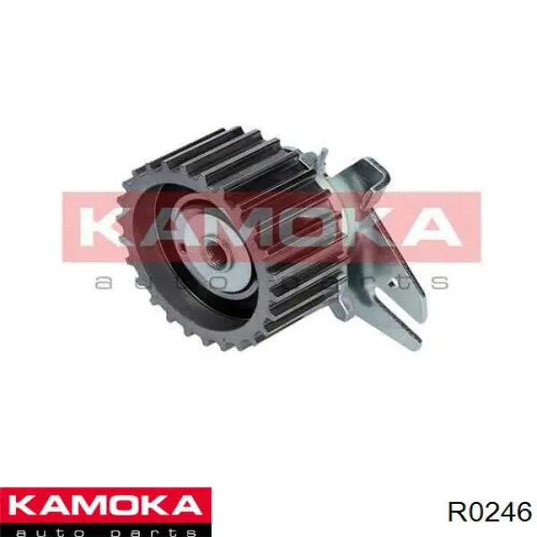 R0246 Kamoka rodillo, cadena de distribución