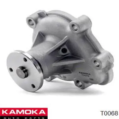 T0068 Kamoka bomba de agua