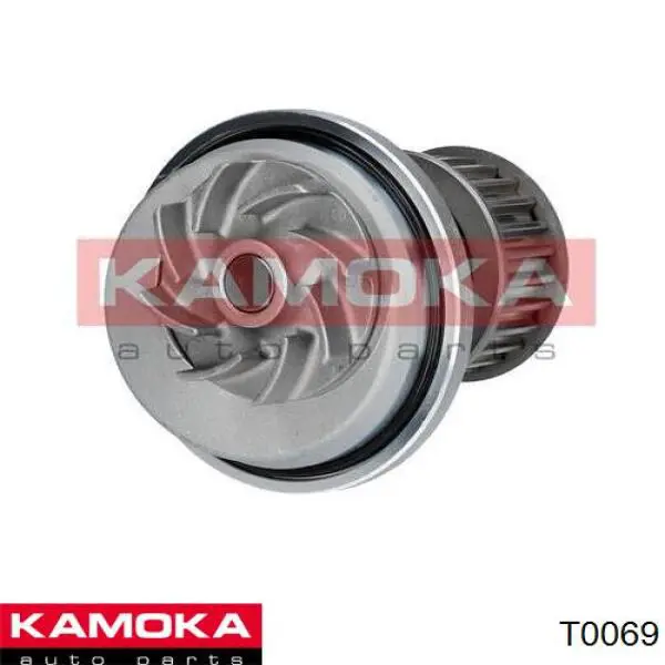 T0069 Kamoka bomba de agua