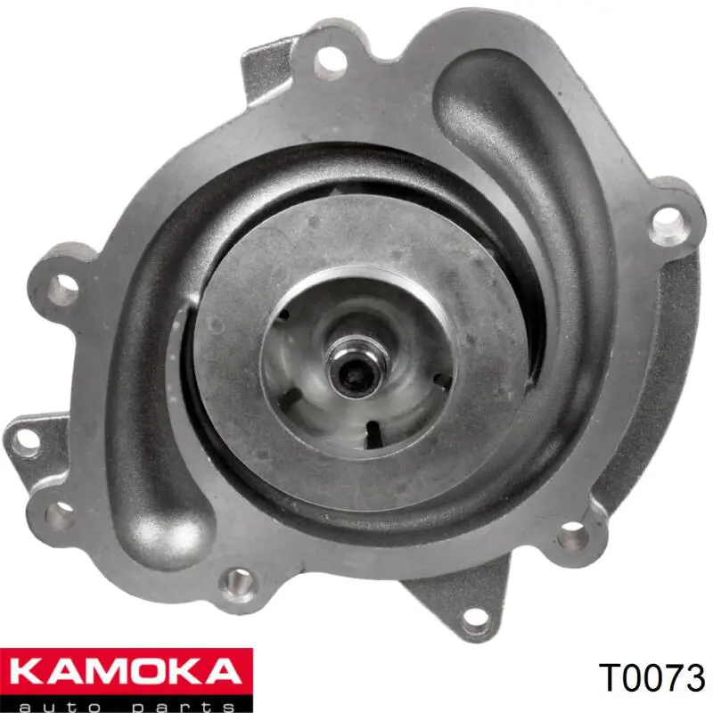 T0073 Kamoka bomba de agua