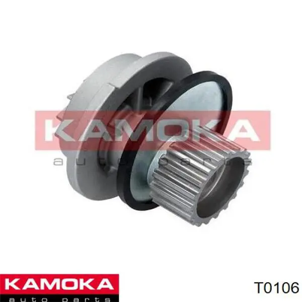 T0106 Kamoka bomba de agua