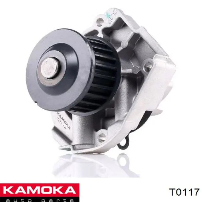 T0117 Kamoka bomba de agua