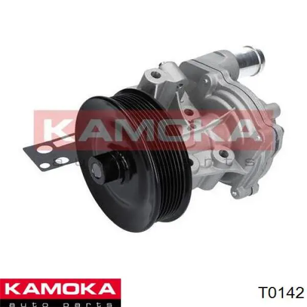 T0142 Kamoka bomba de agua