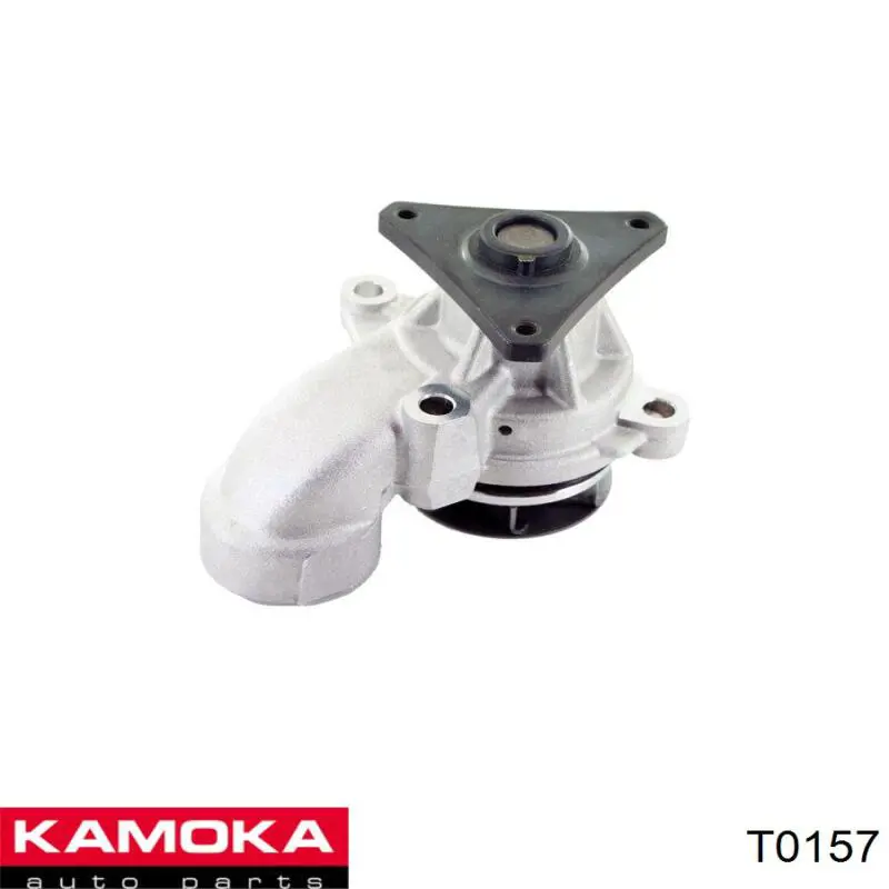 T0157 Kamoka bomba de agua