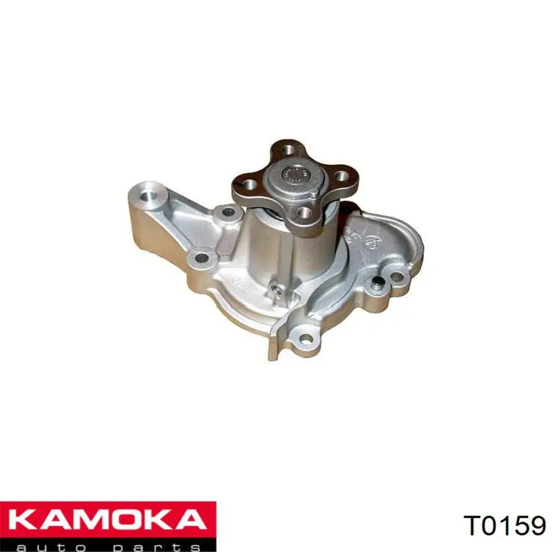 T0159 Kamoka bomba de agua