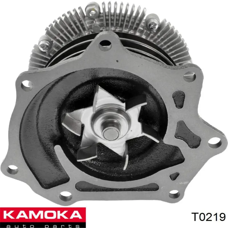 T0219 Kamoka bomba de agua