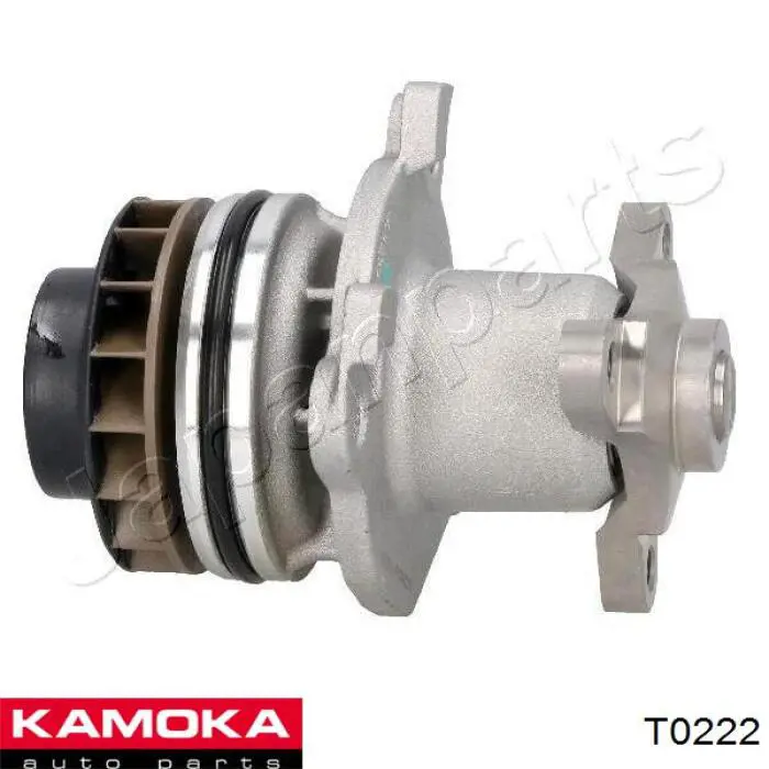 T0222 Kamoka bomba de agua