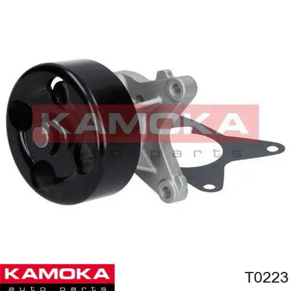 T0223 Kamoka bomba de agua