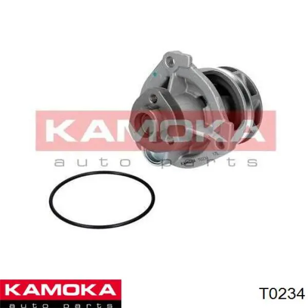 T0234 Kamoka bomba de agua