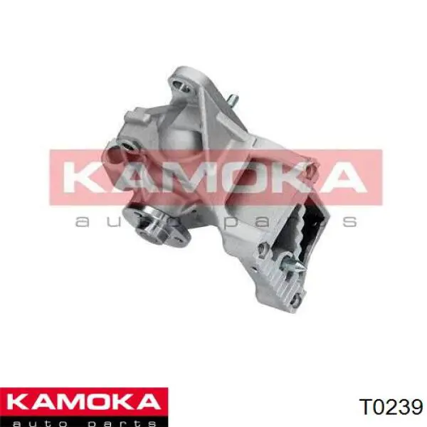 T0239 Kamoka bomba de agua