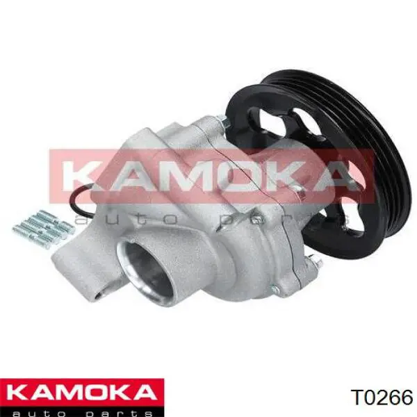 T0266 Kamoka bomba de agua