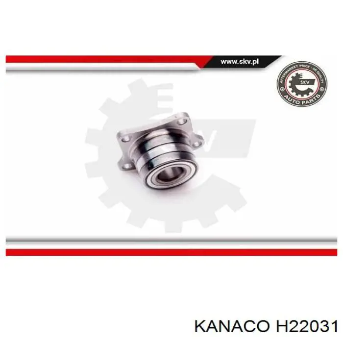 H22031 Kanaco cojinete de rueda trasero