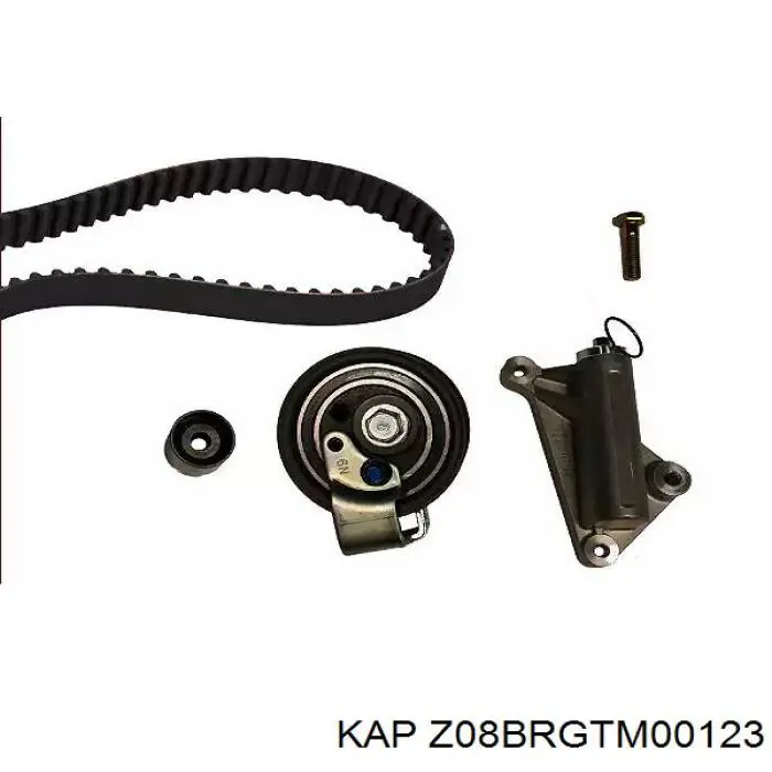 Rodillo, cadena de distribución Hyundai Accent 1