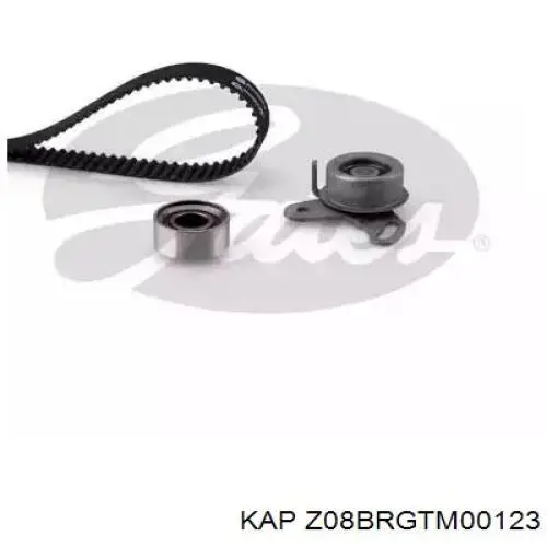 Rodillo, cadena de distribución Hyundai Accent 1